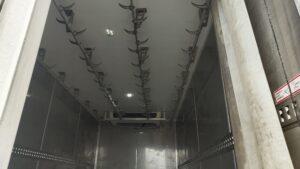 IMG_20251205_105434309